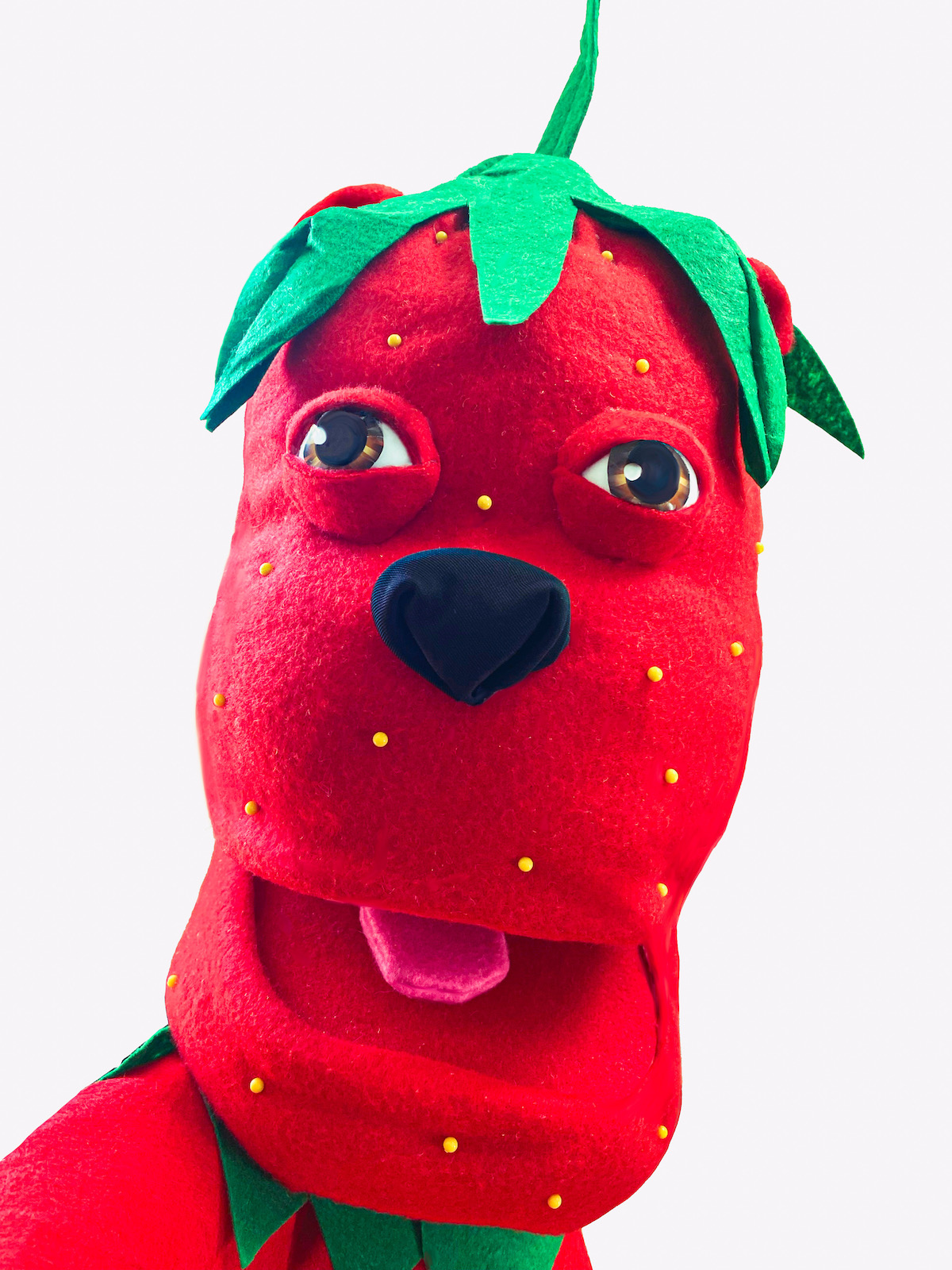 StrawBEARy Puppet