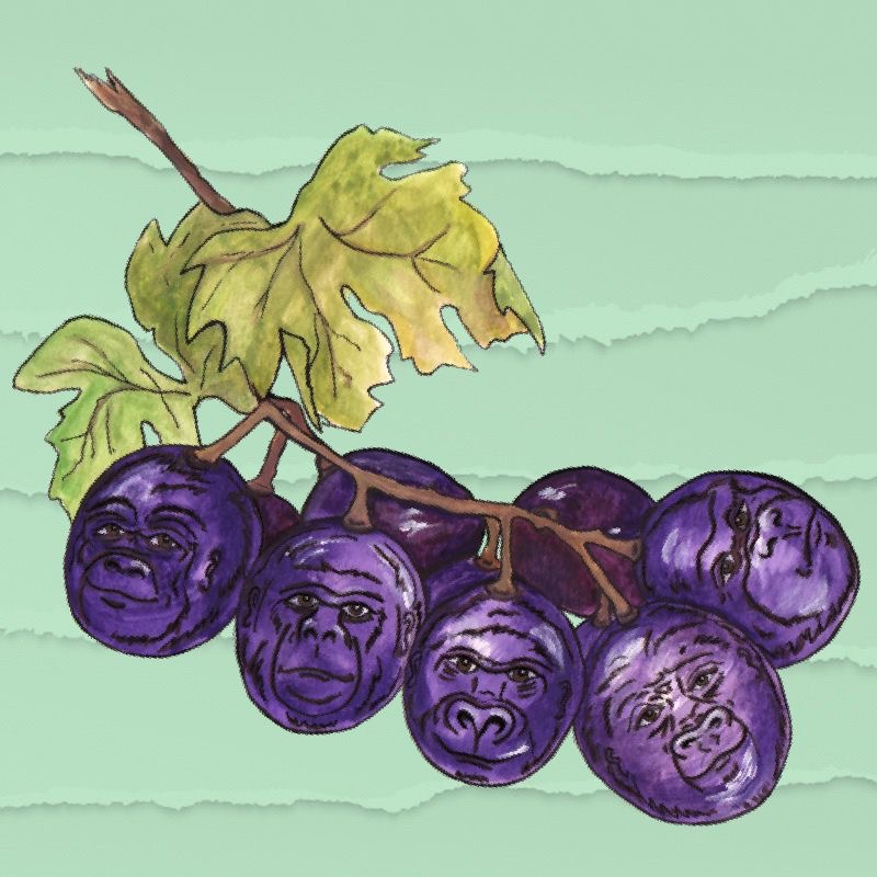 grAPES