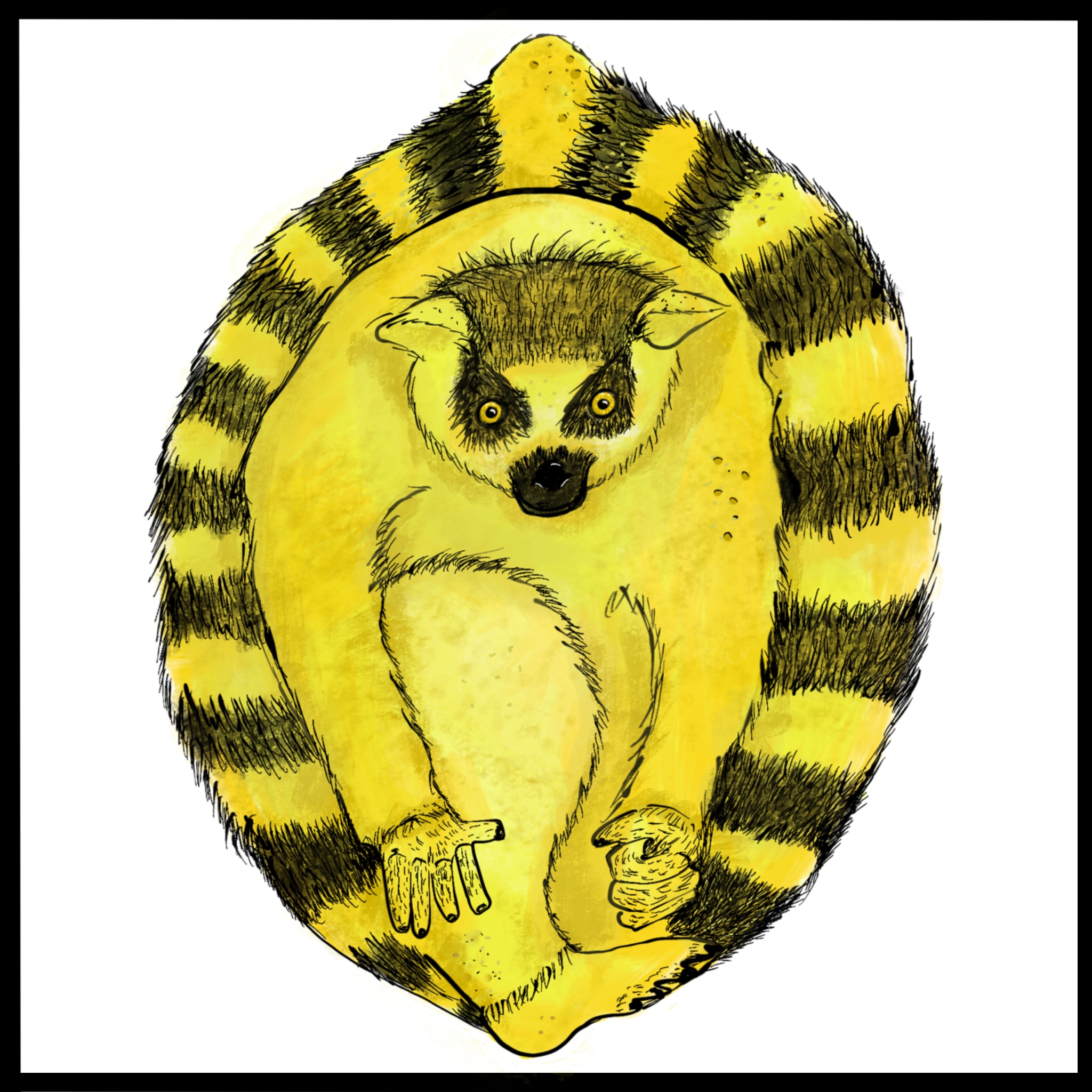 LEMURn