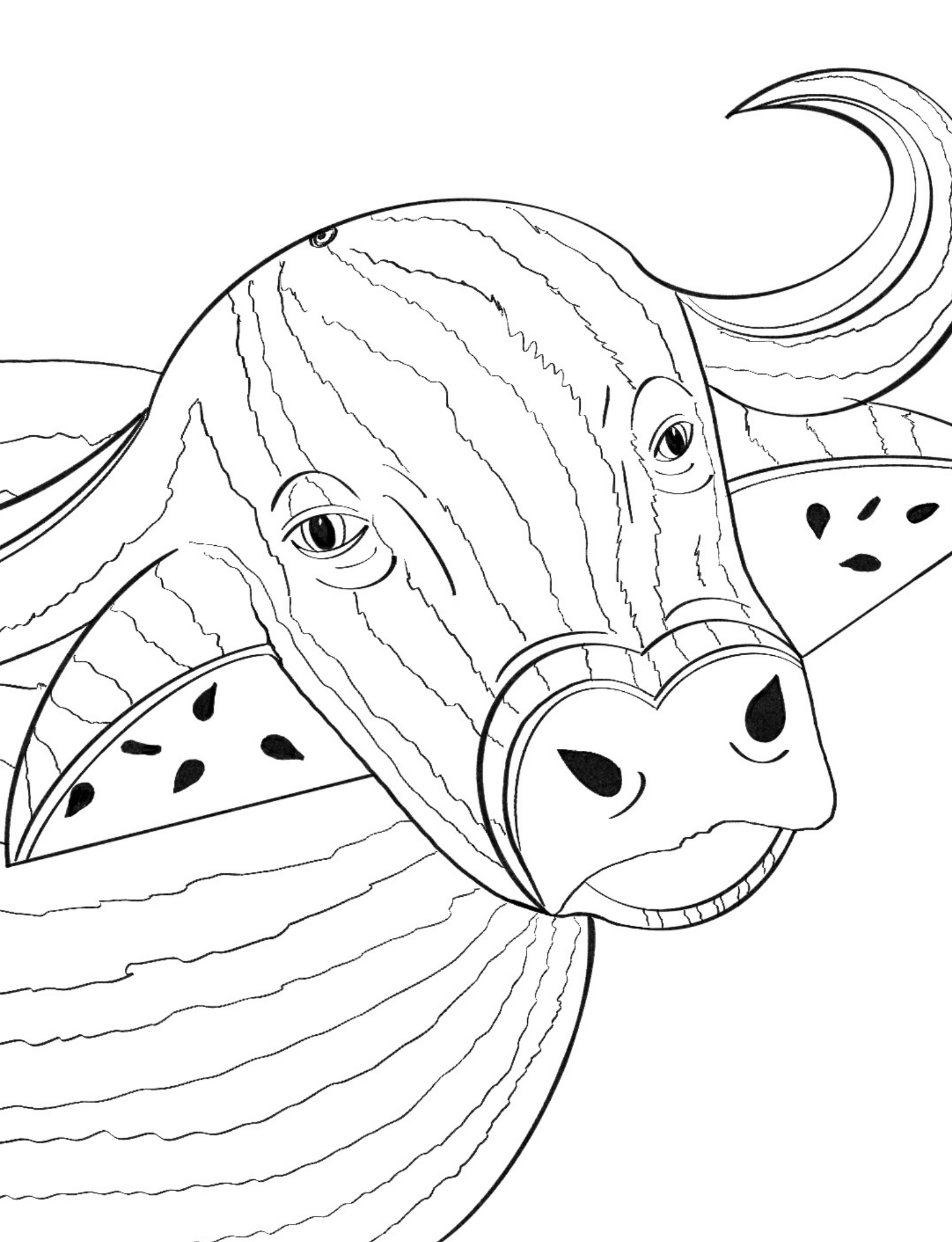 Water Buffalo Melon Line Drawing Large