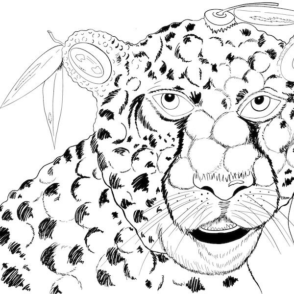 LyCHEETAH Line Drawing