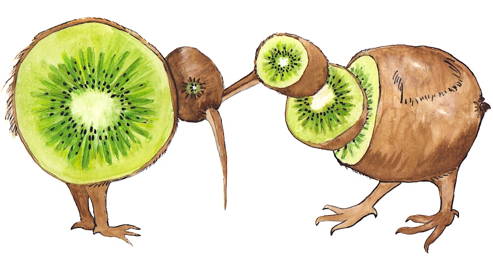 full size kiwi kiwi